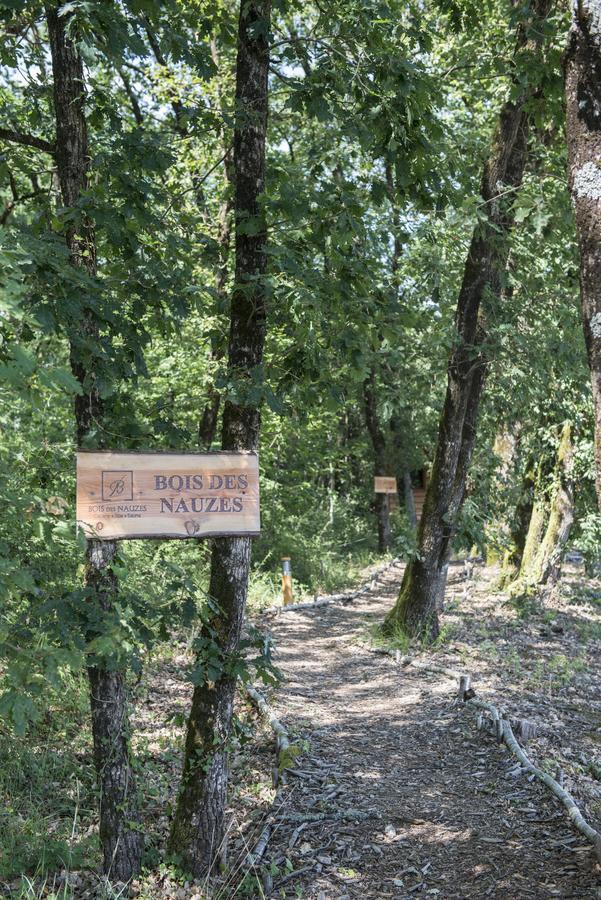 Bois Des Nauzes Villa Seyches Kültér fotó
